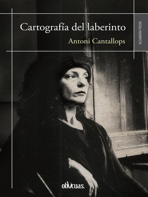 cover image of Cartografía del laberinto